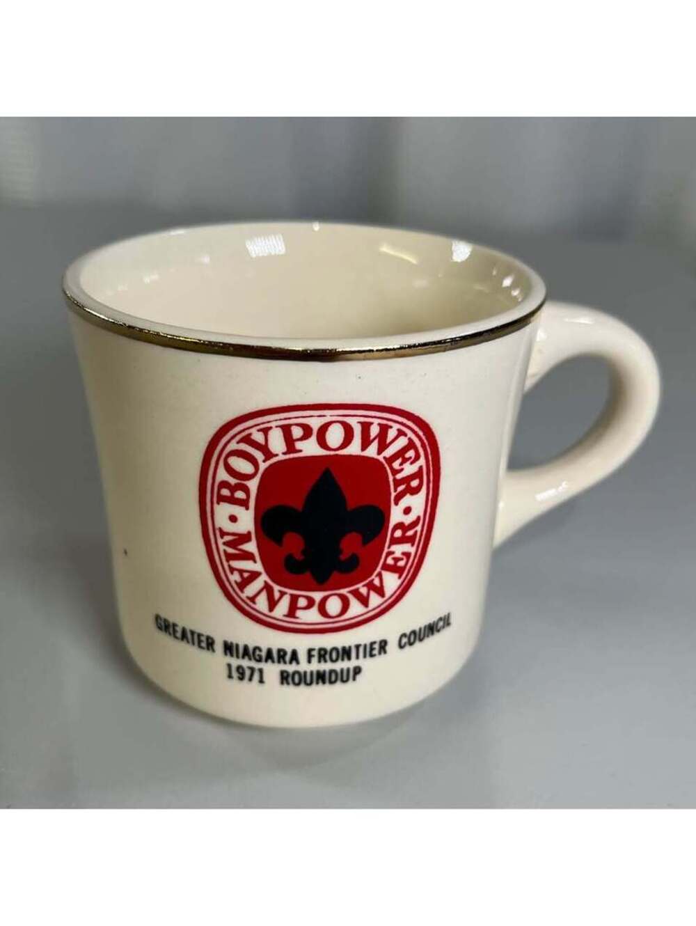 Vintage 1971 Boy Scouts Greater Niagara Frontier Council Roundup Mug
